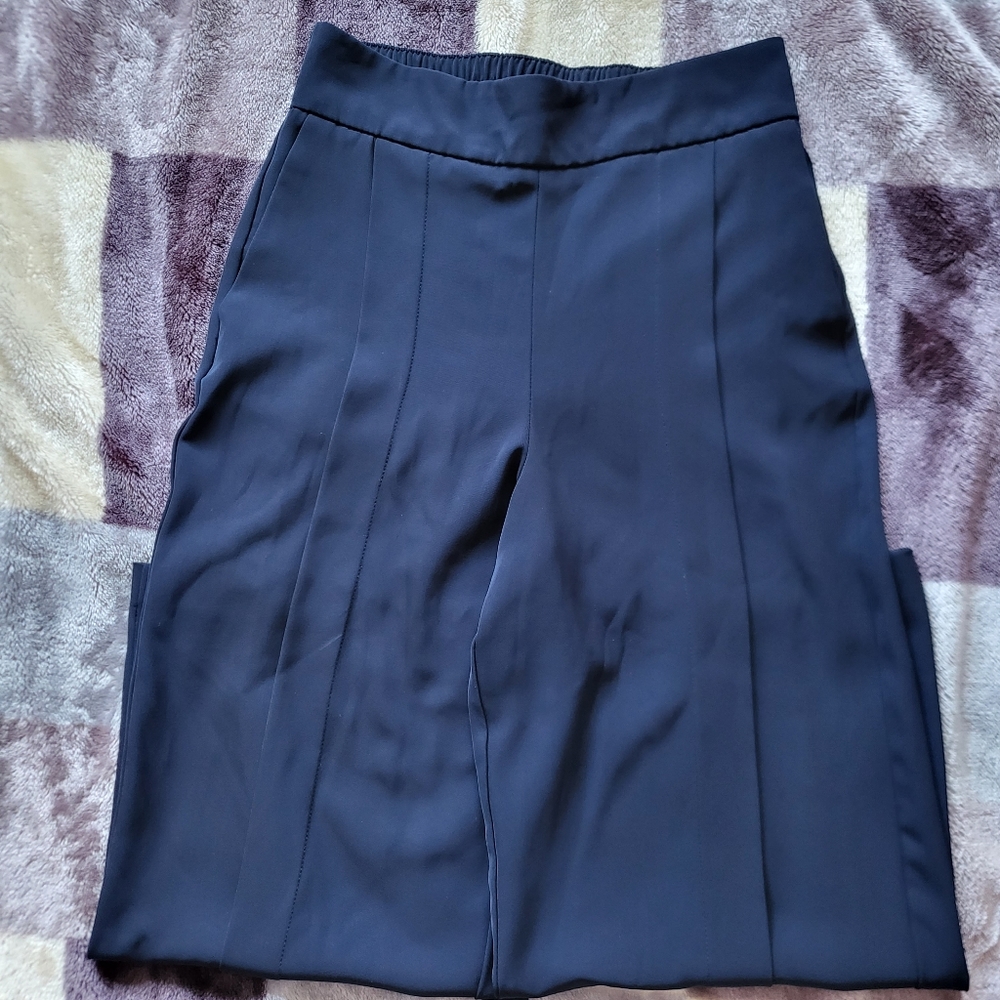 Zara pants